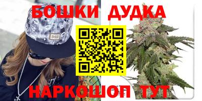 гидра Будённовск